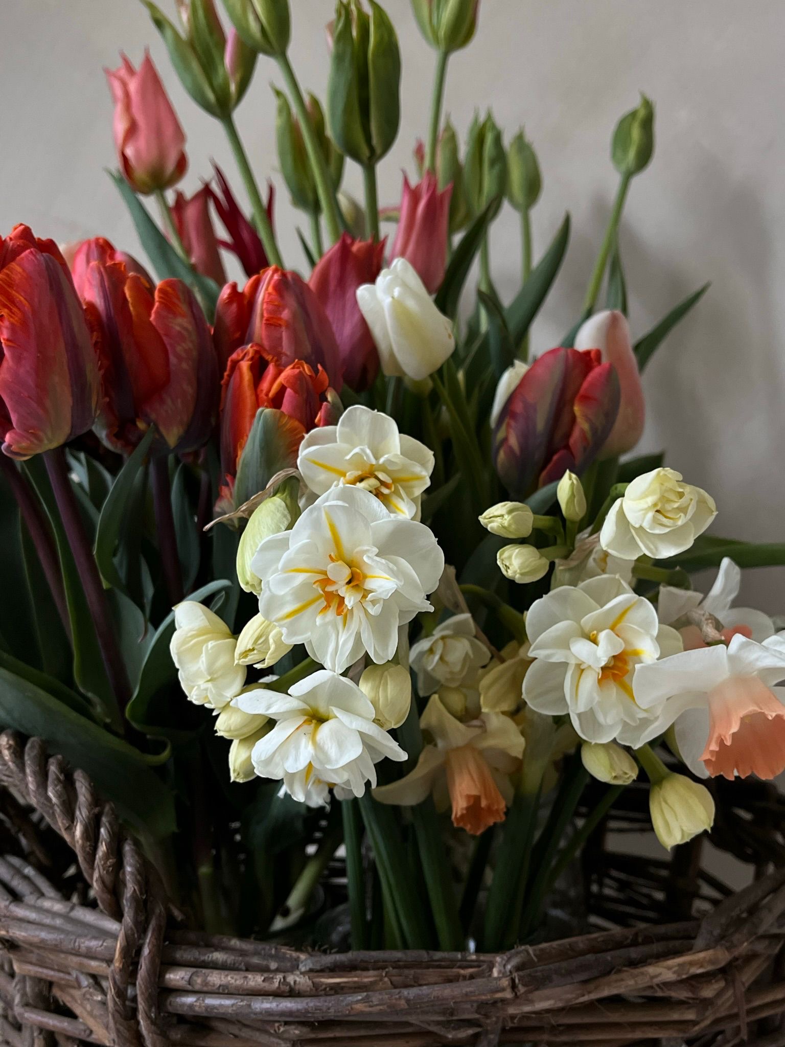 Frühlingsworkshop mit Viola Lüdemann am 26. März um 11 Uhr