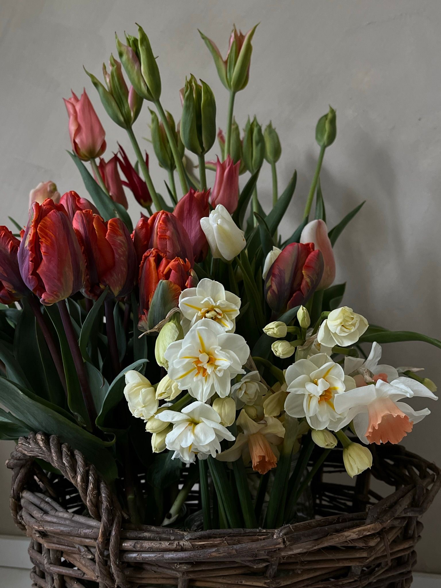 Frühlingsworkshop mit Viola Lüdemann am 26. März um 11 Uhr