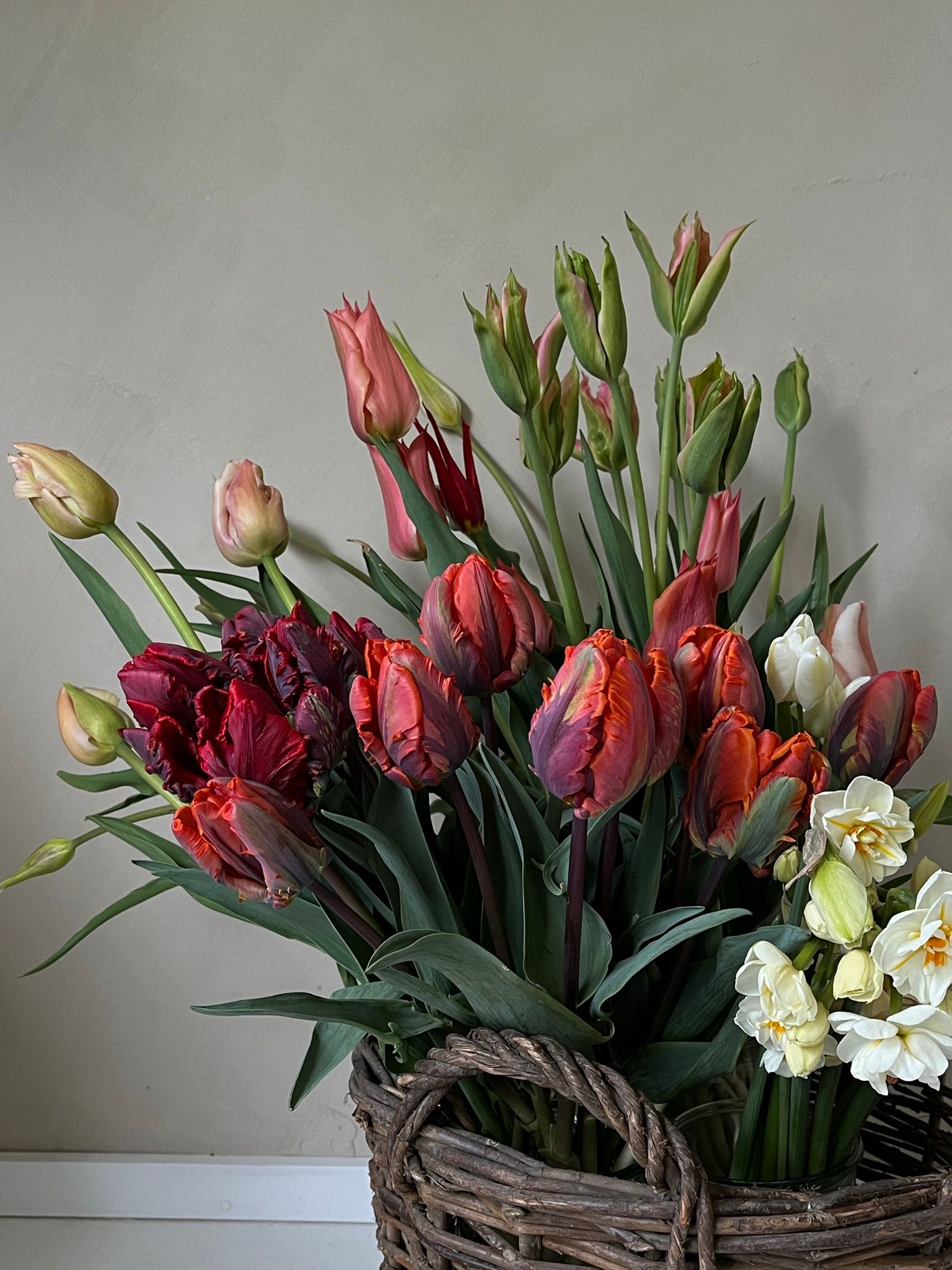 Frühlingsworkshop mit Viola Lüdemann am 26. März um 11 Uhr