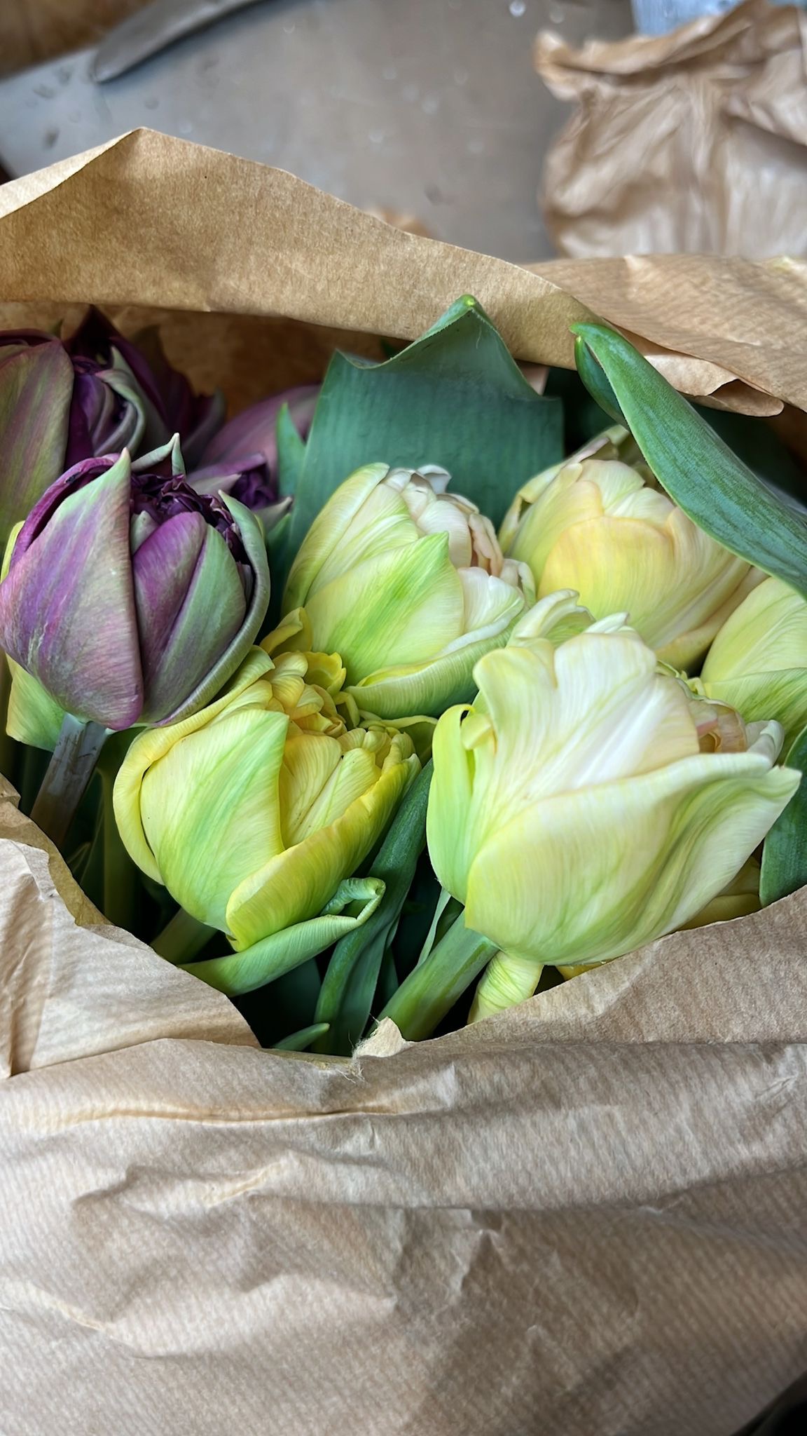 Frühlingsworkshop mit Viola Lüdemann am 26. März um 11 Uhr