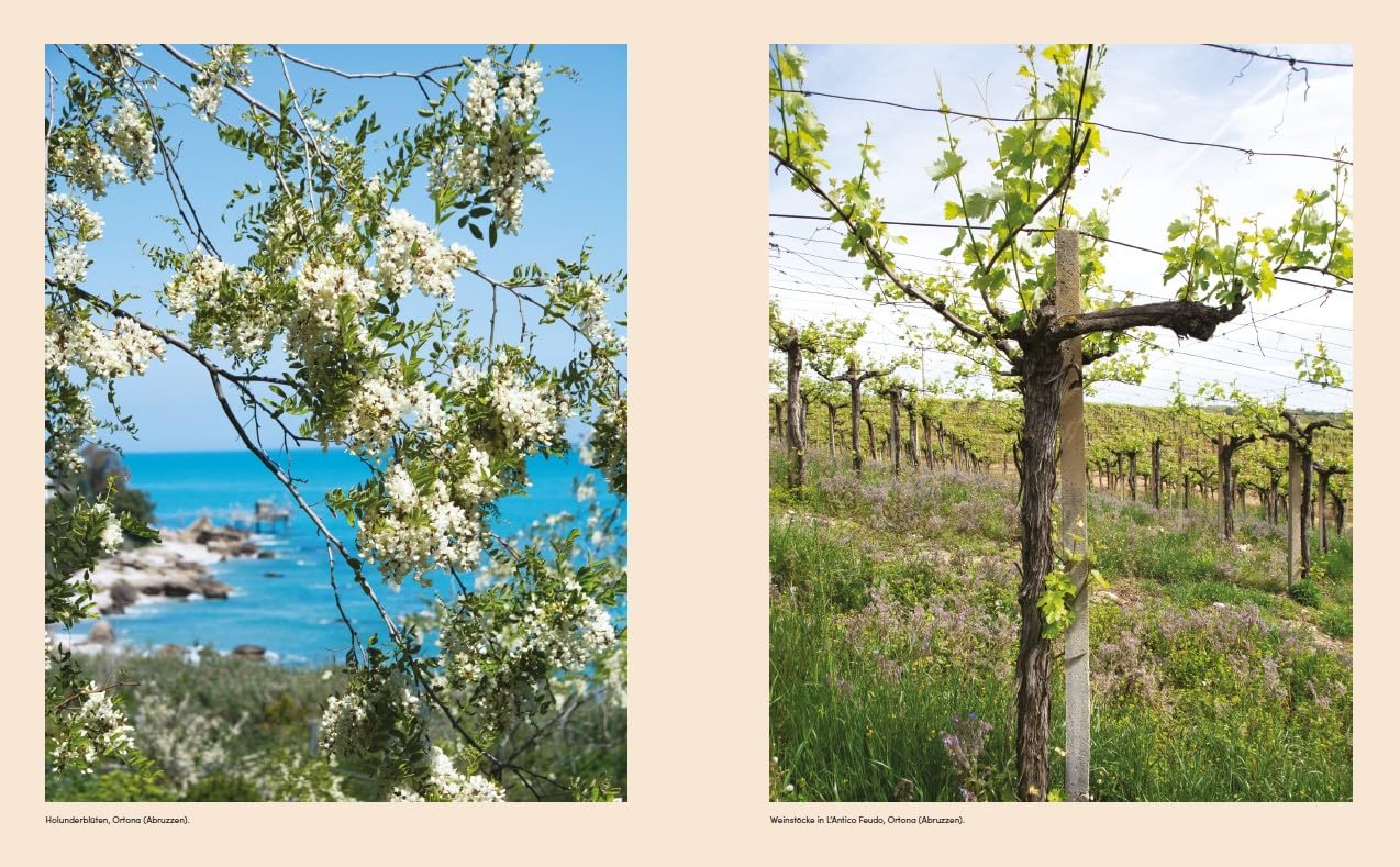 Adriatico Kochbuch von Paola Bacchia