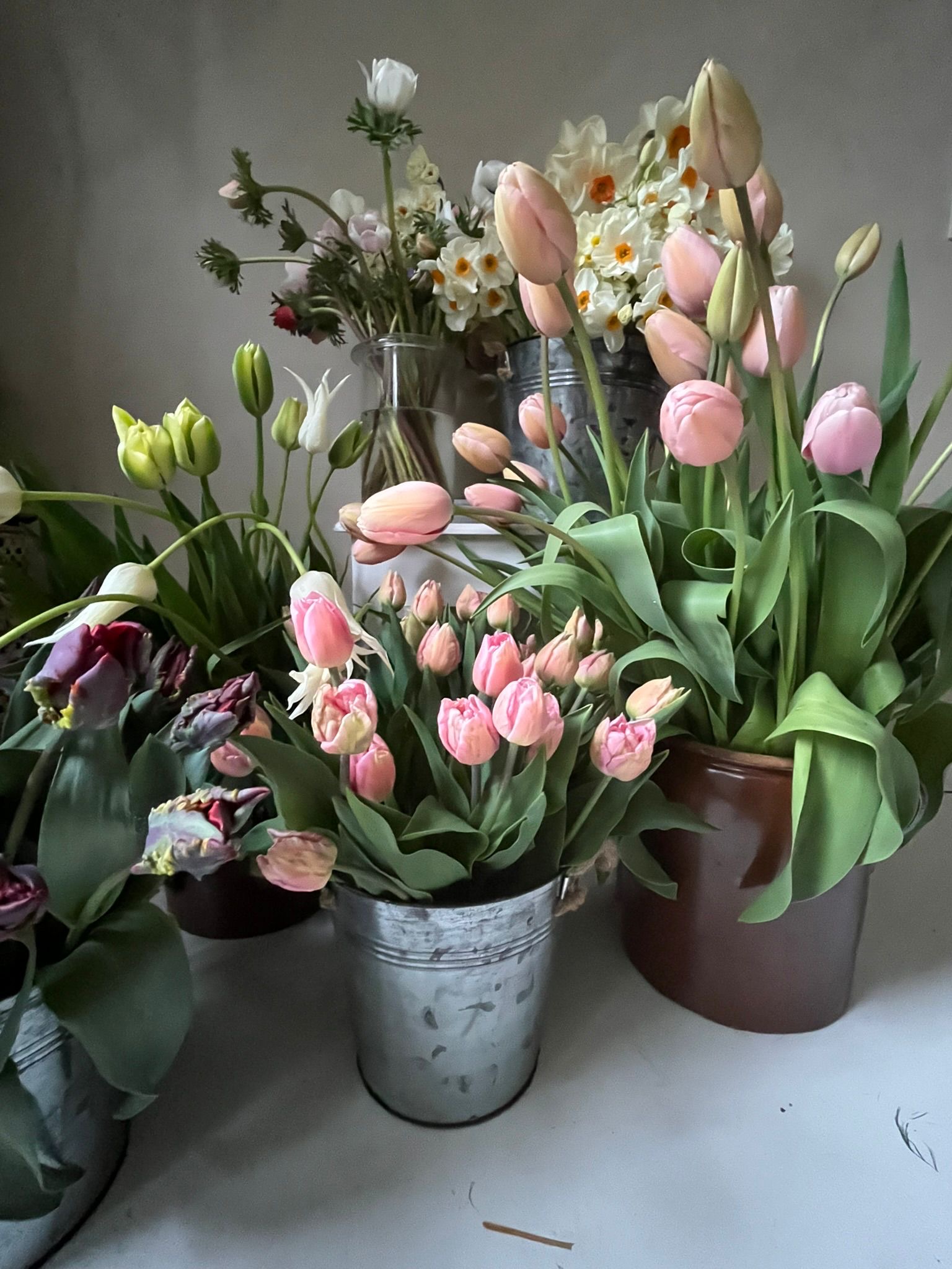 Frühlingsworkshop mit Viola Lüdemann am 26. März um 11 Uhr